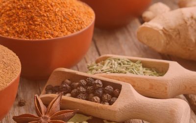 AYURVEDA: LA MEDICINA MÁS ANTIGUA DEL MUNDO – Entrevista