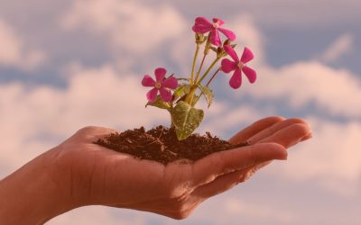 5 Claves del desarrollo personal