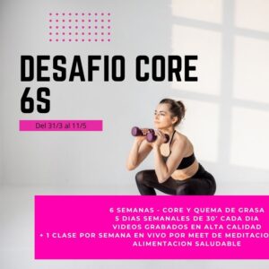 Desafío 6S